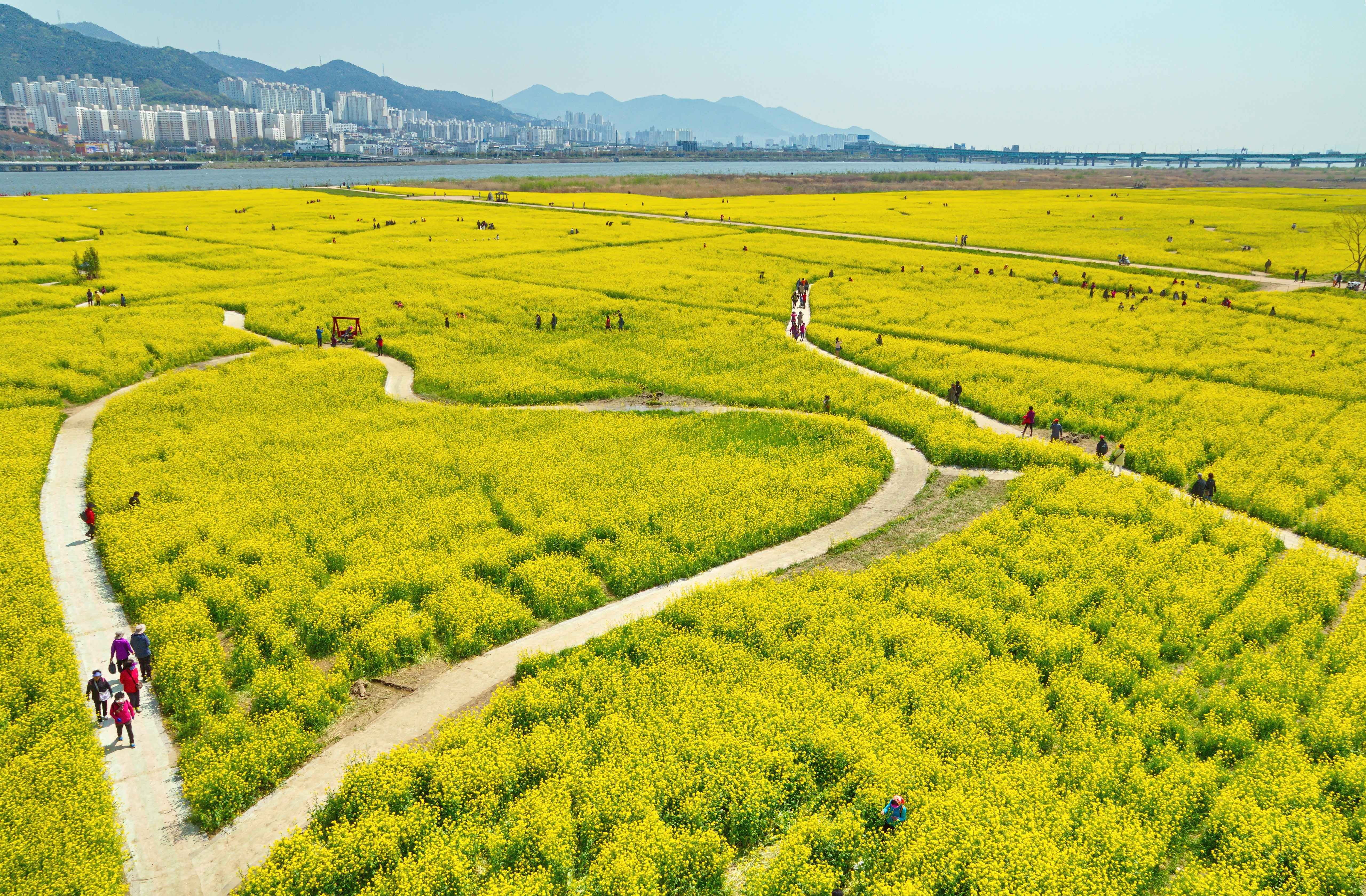 Gyeongju gallery 11